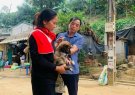 Xã Trung Tiến tổ chức tiêm phòng vắc xin dại cho đàn chó, mèo năm 2024